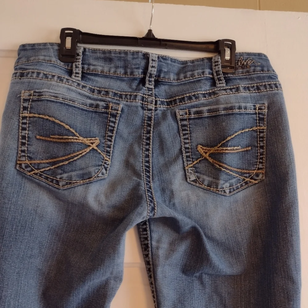 Silver Capris - Picture 4 of 8